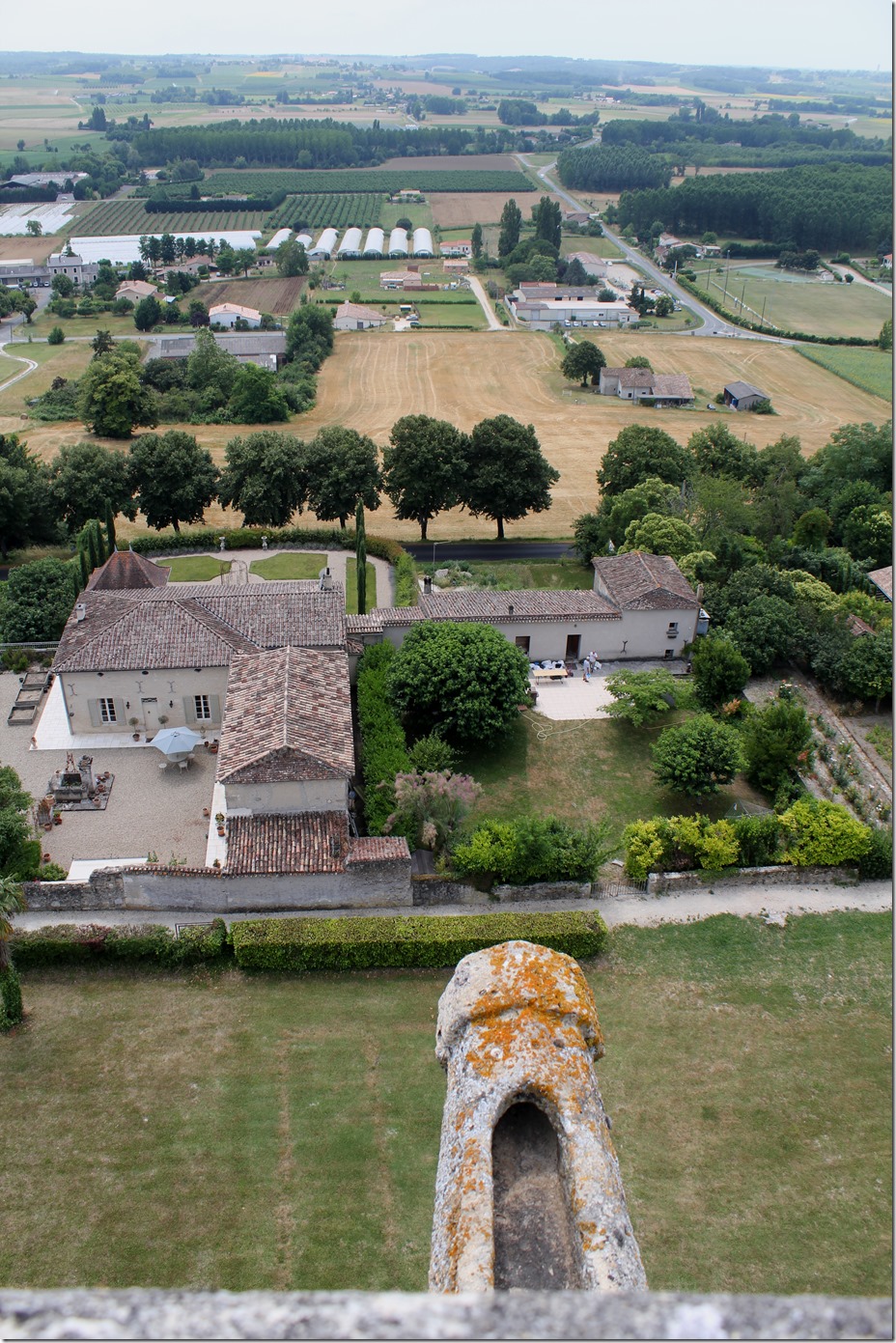 View from the tower of the castle