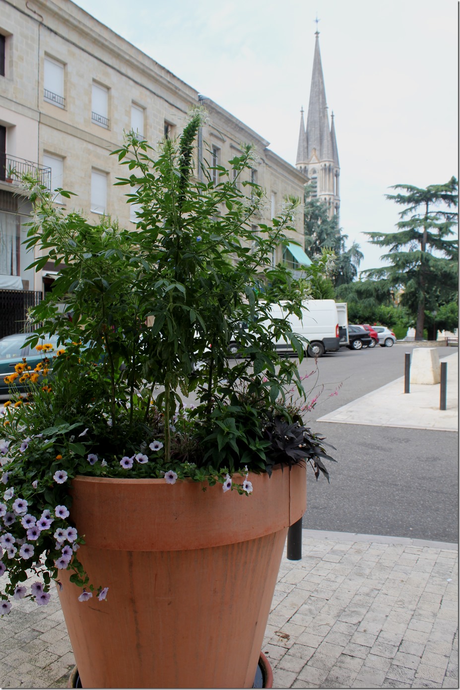 Giant flowerpots in Miramont de Guyenne
