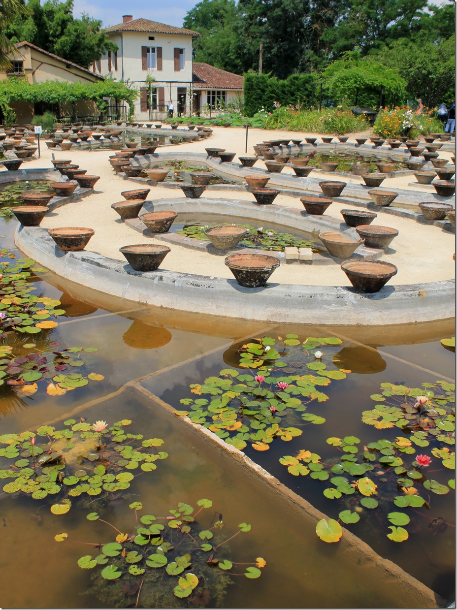 The Latour-Marliac garden in Le Temple-sur-Lot